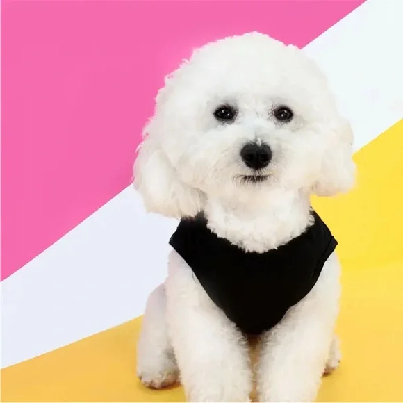 Christian Theme “God Got Me” Tank Top Outfit for Mini/Sm Pet Dog or Cat - Picture 5 of 7